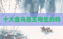 十大金乌是王母生的吗