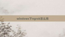 windows下ngrok怎么用