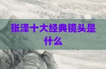 张泽十大经典镜头是什么