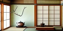 茶屋里的十大怪味下载