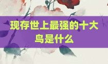 现存世上最强的十大鸟是什么