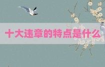 十大违章的特点是什么