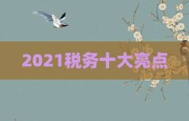 2021税务十大亮点
