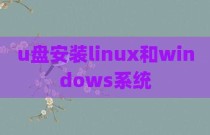 u盘安装linux和windows系统