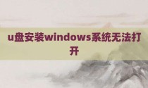u盘安装windows系统无法打开