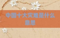 中国十大灾难是什么意思