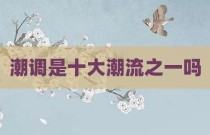 潮调是十大潮流之一吗