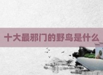 十大最邪门的野鸟是什么
