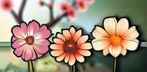 赏花十大素养是什么