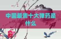 中国最贵十大弹药是什么