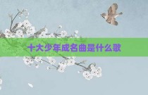 十大少年成名曲是什么歌