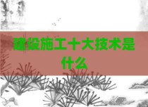 建设施工十大技术是什么