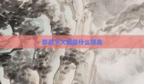 梦见下大雨是什么预兆