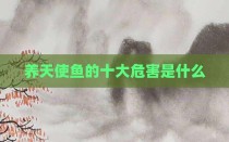 养天使鱼的十大危害是什么