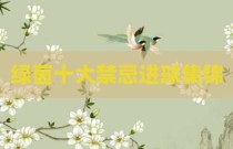绿茵十大禁忌进球集锦