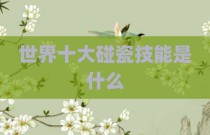 世界十大碰瓷技能是什么