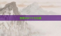 合肥2021十大红盘