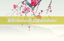 装完ubuntu怎么进windows