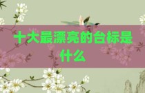 十大最漂亮的台标是什么