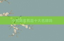 小鸭洗衣机是十大名牌吗