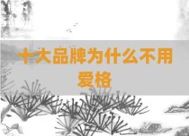 十大品牌为什么不用爱格