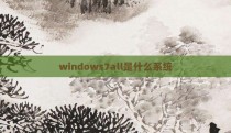 windows7all是什么系统