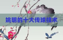 姚明的十大传球技术