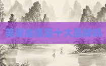 美巢油漆是十大品牌吗