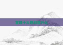宜城十大规划是什么