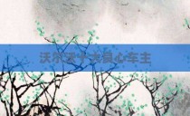 沃尔沃十大良心车主