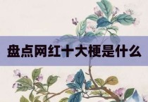 盘点网红十大梗是什么