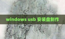 windows usb 安装盘制作
