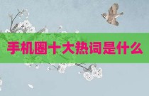 手机圈十大热词是什么