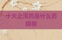 十大止泻药是什么药物啊