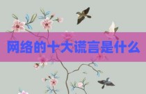 网络的十大谎言是什么