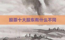 股票十大股东有什么不同