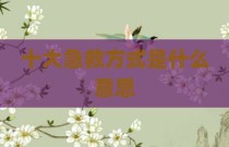 十大急救方式是什么意思