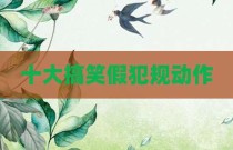 十大搞笑假犯规动作