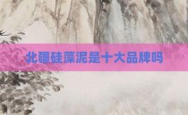 北疆硅藻泥是十大品牌吗