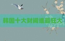 韩国十大财阀谁最狂大