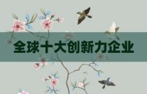 全球十大创新力企业