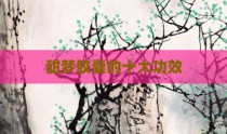 甜梦胶囊的十大功效