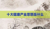 十大健康产业思想是什么