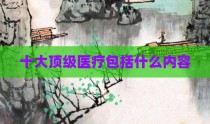 十大顶级医疗包括什么内容