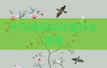 十大选手印记是什么意思