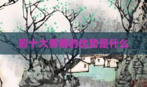 前十大券商的优势是什么