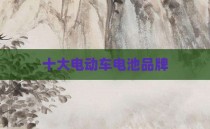 十大电动车电池品牌