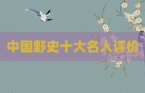 中国野史十大名人评价