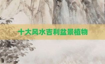 十大风水吉利盆景植物