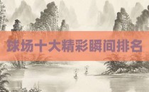 球场十大精彩瞬间排名